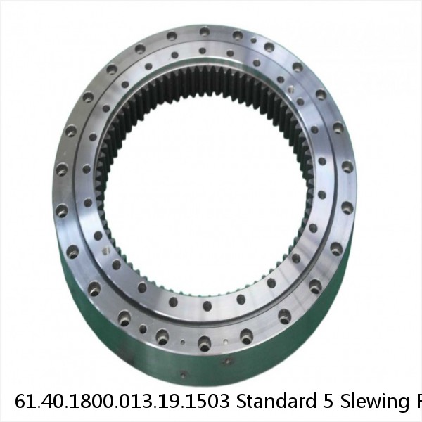 61.40.1800.013.19.1503 Standard 5 Slewing Ring Bearings