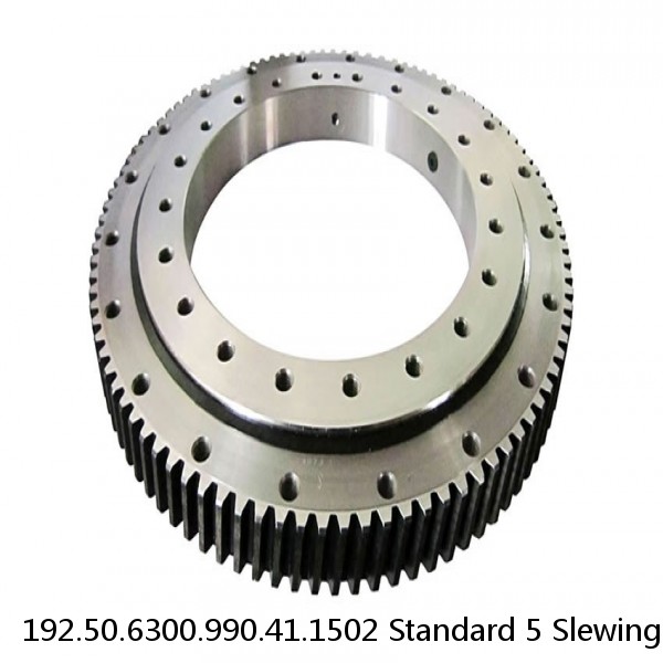 192.50.6300.990.41.1502 Standard 5 Slewing Ring Bearings