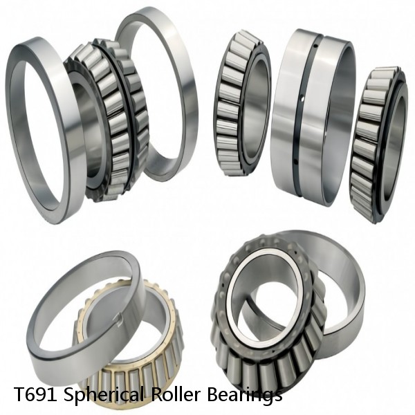 T691 Spherical Roller Bearings #1 small image