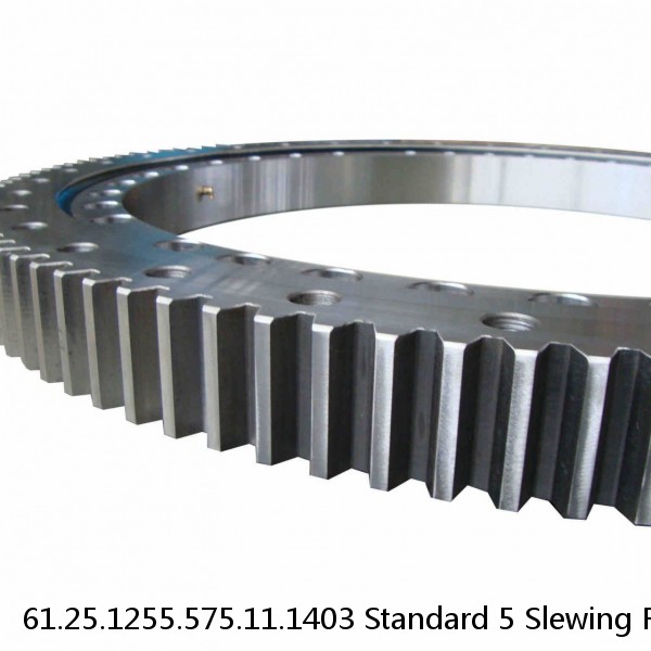 61.25.1255.575.11.1403 Standard 5 Slewing Ring Bearings #1 small image