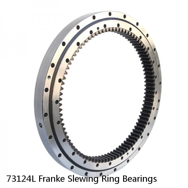 73124L Franke Slewing Ring Bearings #1 small image