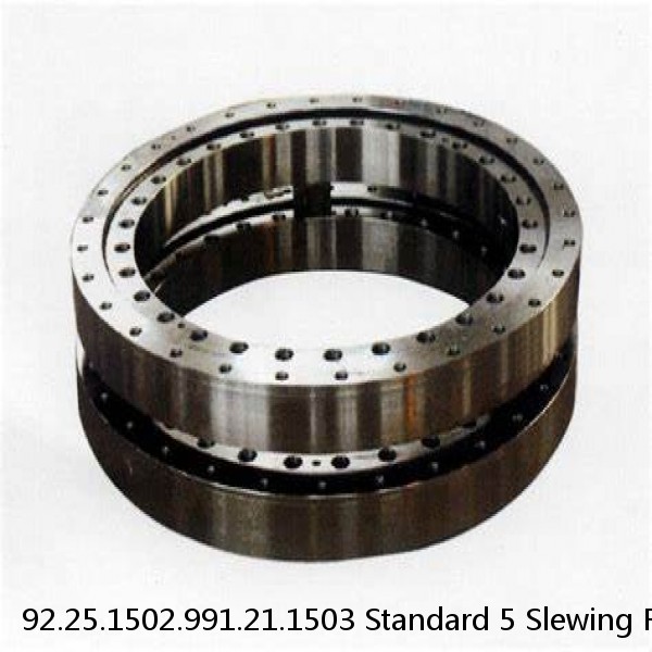 92.25.1502.991.21.1503 Standard 5 Slewing Ring Bearings #1 small image