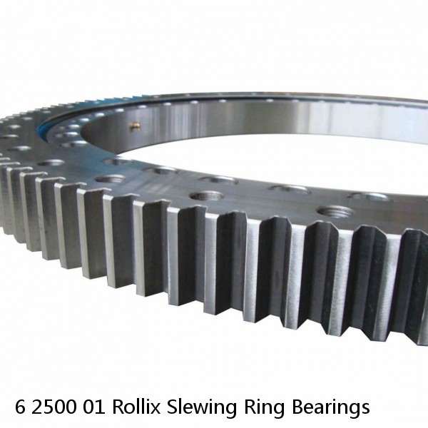 6 2500 01 Rollix Slewing Ring Bearings #1 image