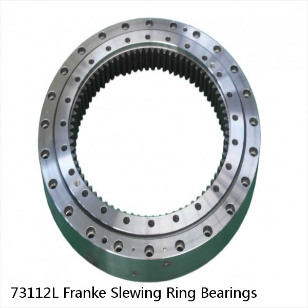 73112L Franke Slewing Ring Bearings #1 image